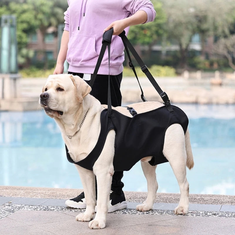 Full Body Dog Lift Harness