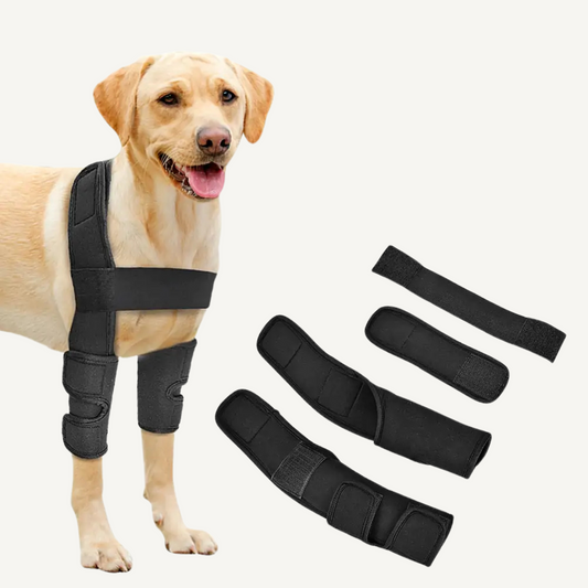 Pet Leg Support