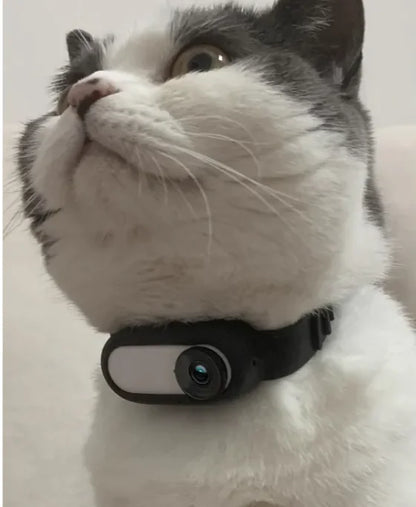Wireless Pet Cam Collar