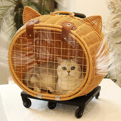 Cat Stroller