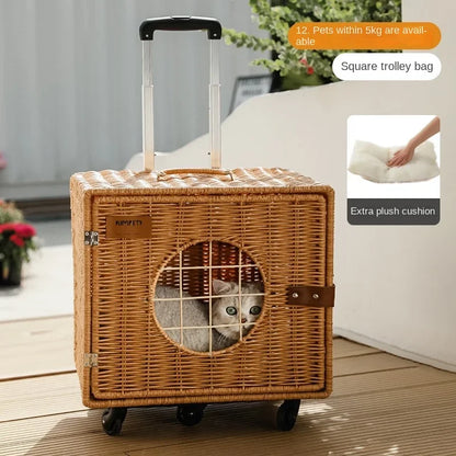 Cat Stroller