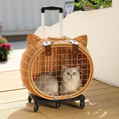 Cat Stroller